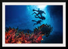 "Underwater Animals – Divers Above the Corals 2", Victor Hawk