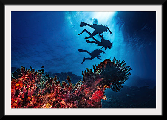 "Underwater Animals – Divers Above the Corals 2", Victor Hawk