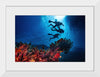 "Underwater Animals – Divers Above the Corals 2", Victor Hawk