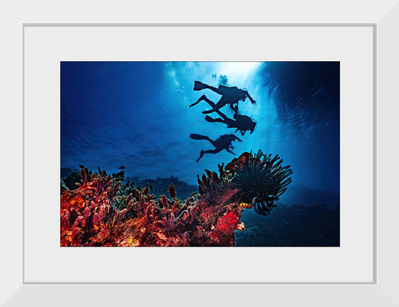 "Underwater Animals – Divers Above the Corals 2", Victor Hawk