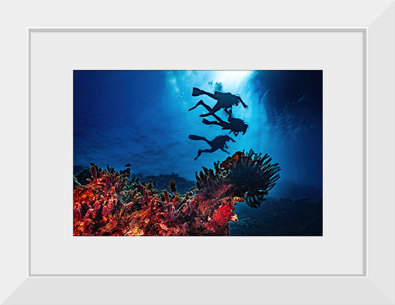 "Underwater Animals – Divers Above the Corals 2", Victor Hawk