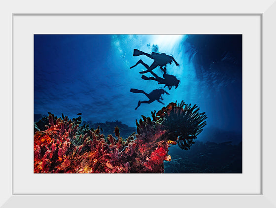 "Underwater Animals – Divers Above the Corals 2", Victor Hawk