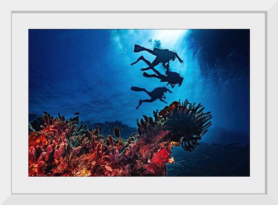 "Underwater Animals – Divers Above the Corals 2", Victor Hawk