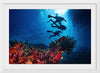 "Underwater Animals – Divers Above the Corals 2", Victor Hawk