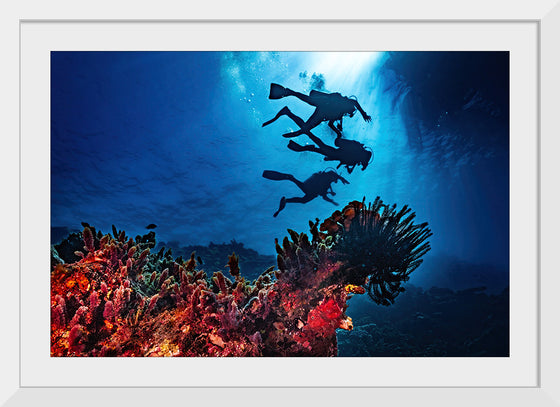 "Underwater Animals – Divers Above the Corals 2", Victor Hawk