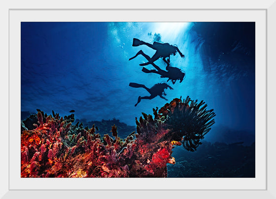 "Underwater Animals – Divers Above the Corals 2", Victor Hawk