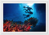 "Underwater Animals – Divers Above the Corals 2", Victor Hawk