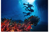 "Underwater Animals – Divers Above the Corals 2", Victor Hawk