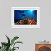 "Underwater Animals – Divers Above the Corals 3", Victor Hawk