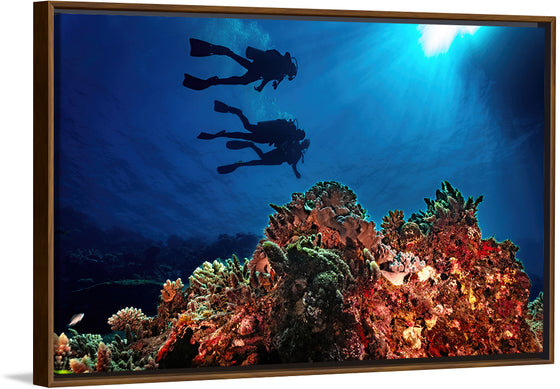 "Underwater Animals – Divers Above the Corals 3", Victor Hawk