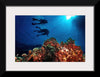 "Underwater Animals – Divers Above the Corals 3", Victor Hawk