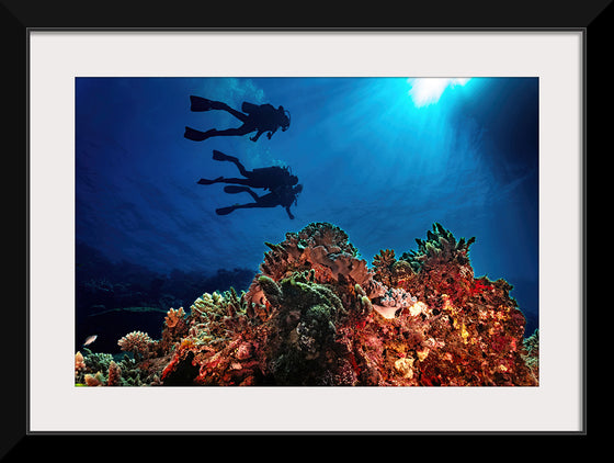 "Underwater Animals – Divers Above the Corals 3", Victor Hawk