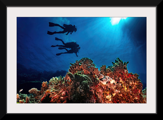 "Underwater Animals – Divers Above the Corals 3", Victor Hawk