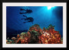 "Underwater Animals – Divers Above the Corals 3", Victor Hawk