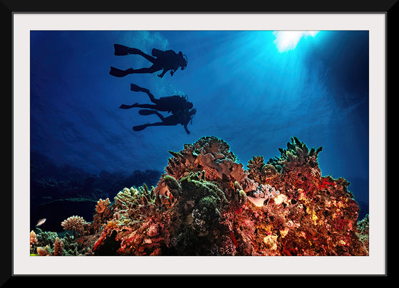 "Underwater Animals – Divers Above the Corals 3", Victor Hawk