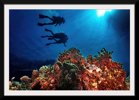 "Underwater Animals – Divers Above the Corals 3", Victor Hawk