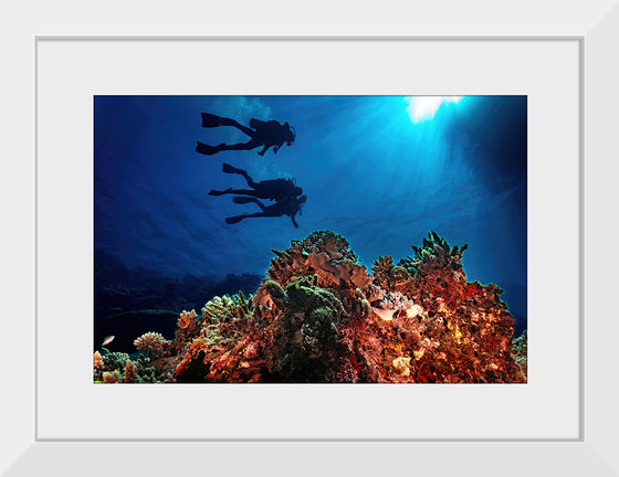 "Underwater Animals – Divers Above the Corals 3", Victor Hawk