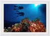 "Underwater Animals – Divers Above the Corals 3", Victor Hawk