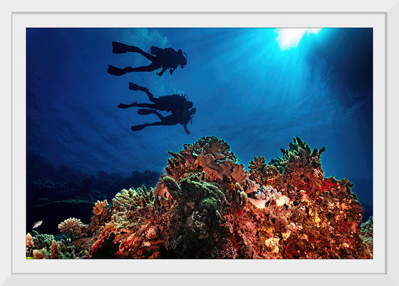 "Underwater Animals – Divers Above the Corals 3", Victor Hawk