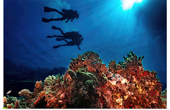 "Underwater Animals – Divers Above the Corals 3", Victor Hawk