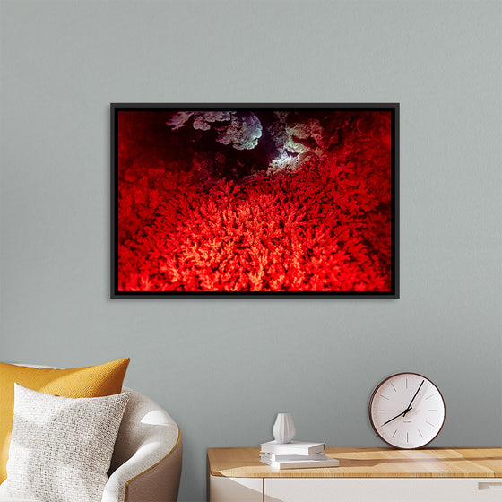 "Underwater Animals – GBR Colours Corals 1", Victor Hawk