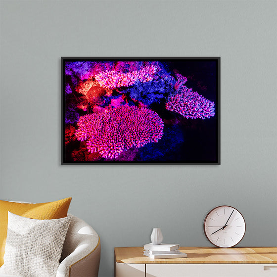 "Underwater Animals – GBR Colours Corals 3", Victor Hawk