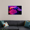 "Underwater Animals – GBR Colours Corals 3", Victor Hawk