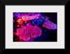 "Underwater Animals – GBR Colours Corals 3", Victor Hawk