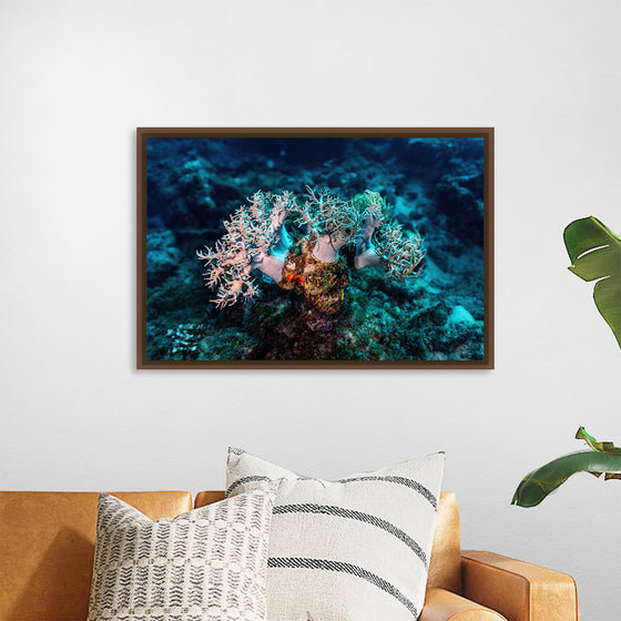 "Underwater Animals – GBR Corals 46", Victor Hawk