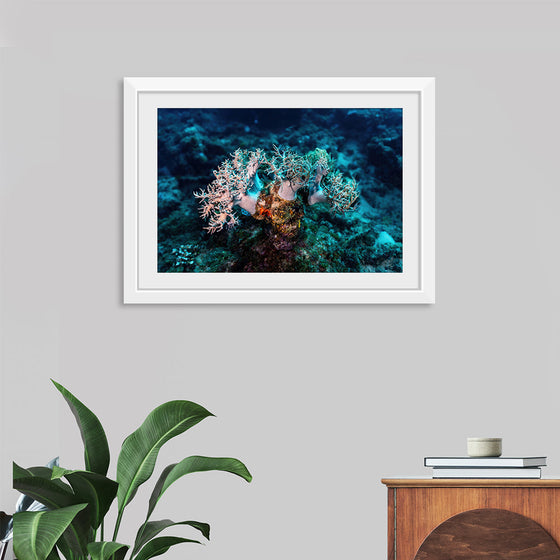 "Underwater Animals – GBR Corals 46", Victor Hawk