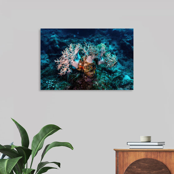 "Underwater Animals – GBR Corals 46", Victor Hawk