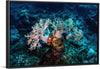 "Underwater Animals – GBR Corals 46", Victor Hawk