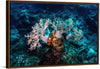 "Underwater Animals – GBR Corals 46", Victor Hawk