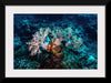 "Underwater Animals – GBR Corals 46", Victor Hawk