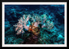 "Underwater Animals – GBR Corals 46", Victor Hawk