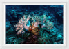 "Underwater Animals – GBR Corals 46", Victor Hawk