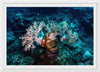 "Underwater Animals – GBR Corals 46", Victor Hawk