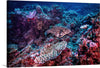 "Underwater Animals – Underwater GBR Corals and Fish 3", Victor Hawk