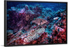 "Underwater Animals – Underwater GBR Corals and Fish 3", Victor Hawk