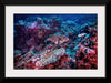 "Underwater Animals – Underwater GBR Corals and Fish 3", Victor Hawk