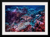 "Underwater Animals – Underwater GBR Corals and Fish 3", Victor Hawk