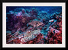 "Underwater Animals – Underwater GBR Corals and Fish 3", Victor Hawk