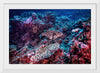 "Underwater Animals – Underwater GBR Corals and Fish 3", Victor Hawk