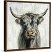 “Highland-Cow“, Silvia Vassileva