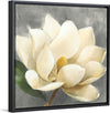 “Magnolia Blossom on Gray“, Albena Hristova