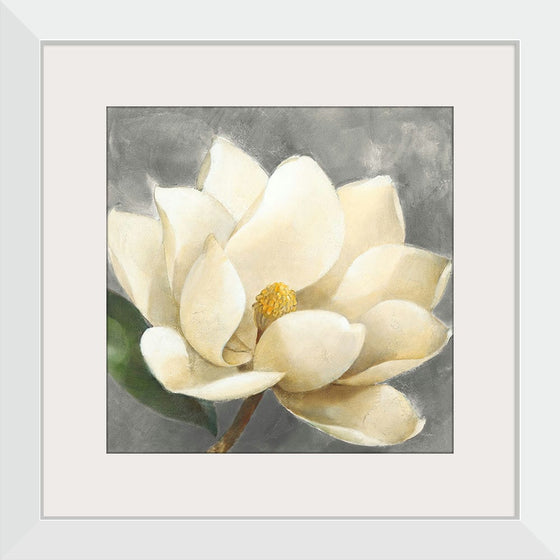 “Magnolia Blossom on Gray“, Albena Hristova
