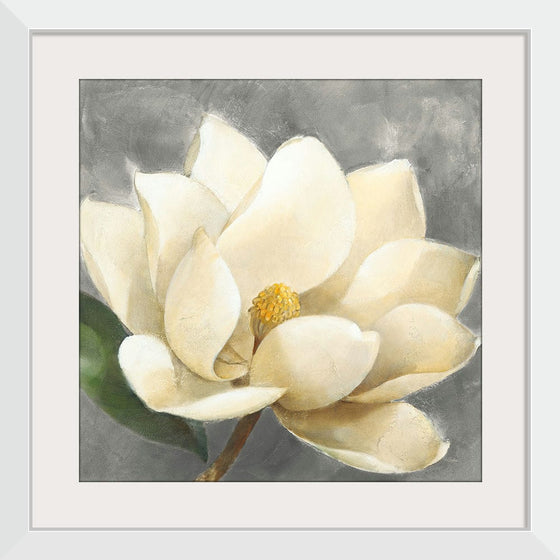 “Magnolia Blossom on Gray“, Albena Hristova