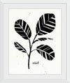 “Botanical Sketches IV“, Anne Tavoletti
