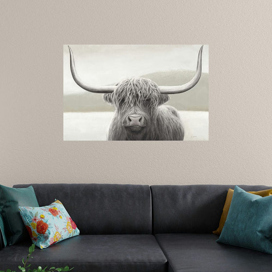 “Highland Cow Neutral“, James Wiens