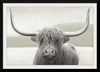 “Highland Cow Neutral“, James Wiens